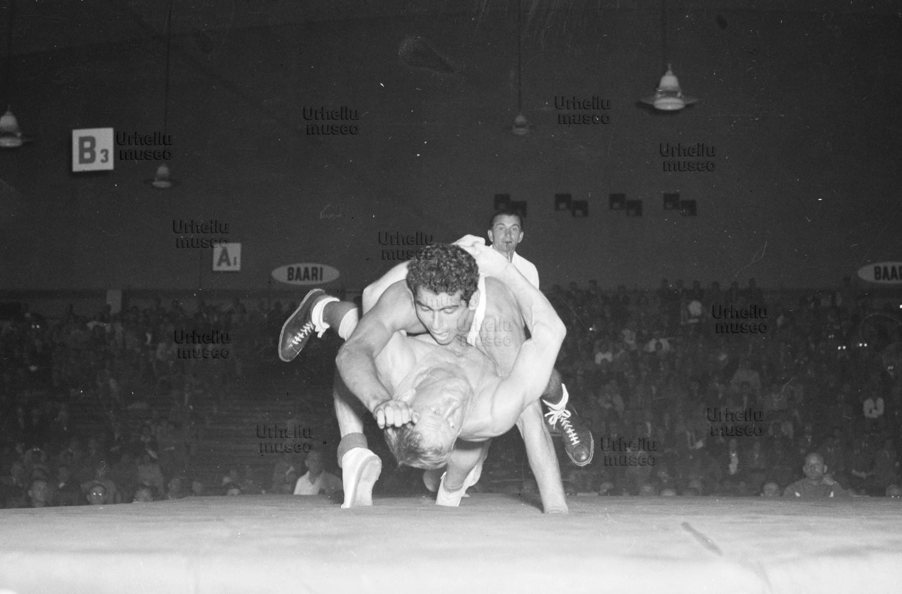 aauwrestling_logo.jpg