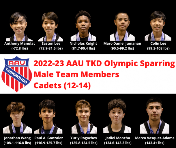 National Team TKD Olympic Sparring Male Cadets